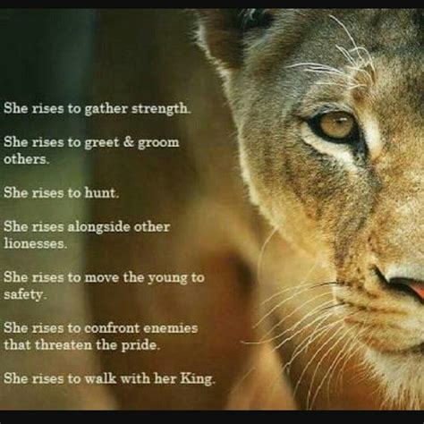 lioness quotes|Powerful Quotes From Lioness: Embrace Your Strength And